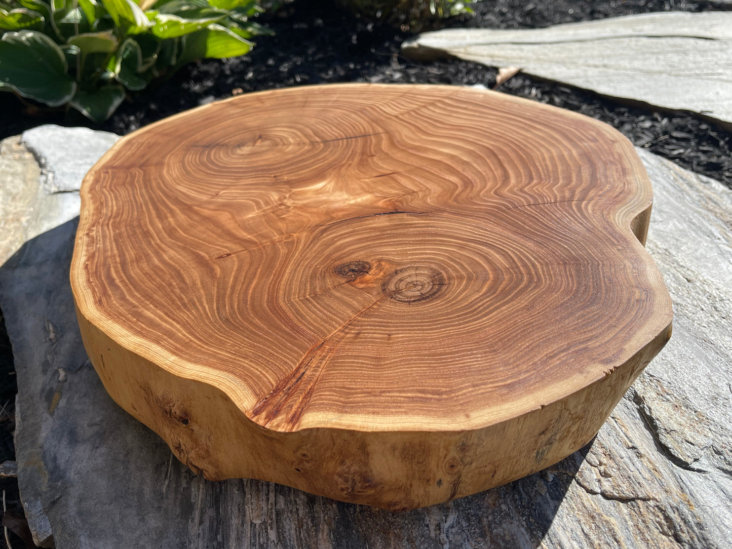 Elm cookie round