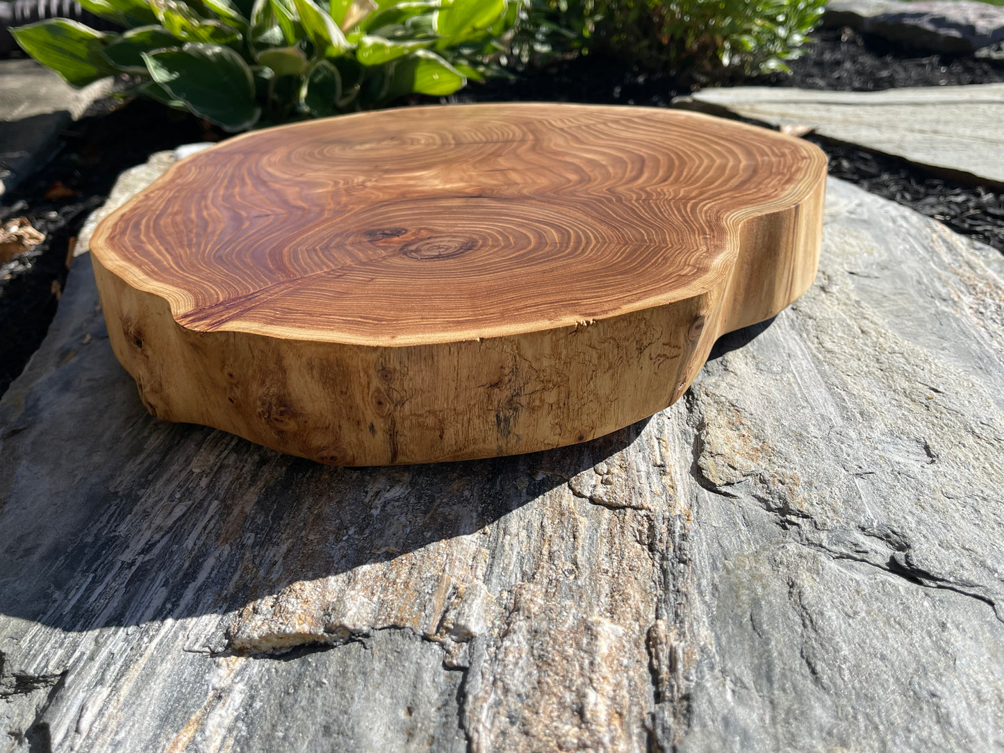 Elm cookie round