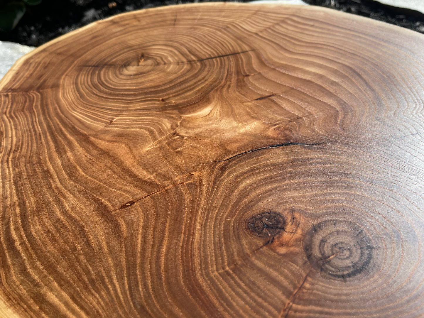 Elm cookie round